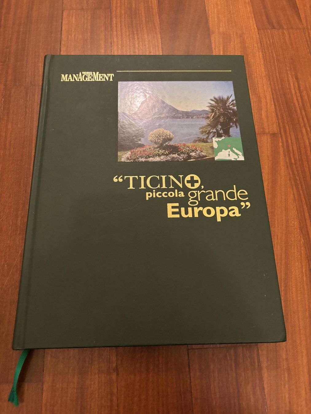 Libri: Ticino Piccola Grande Europa – Usato da Lugano venduto da Mark_Young