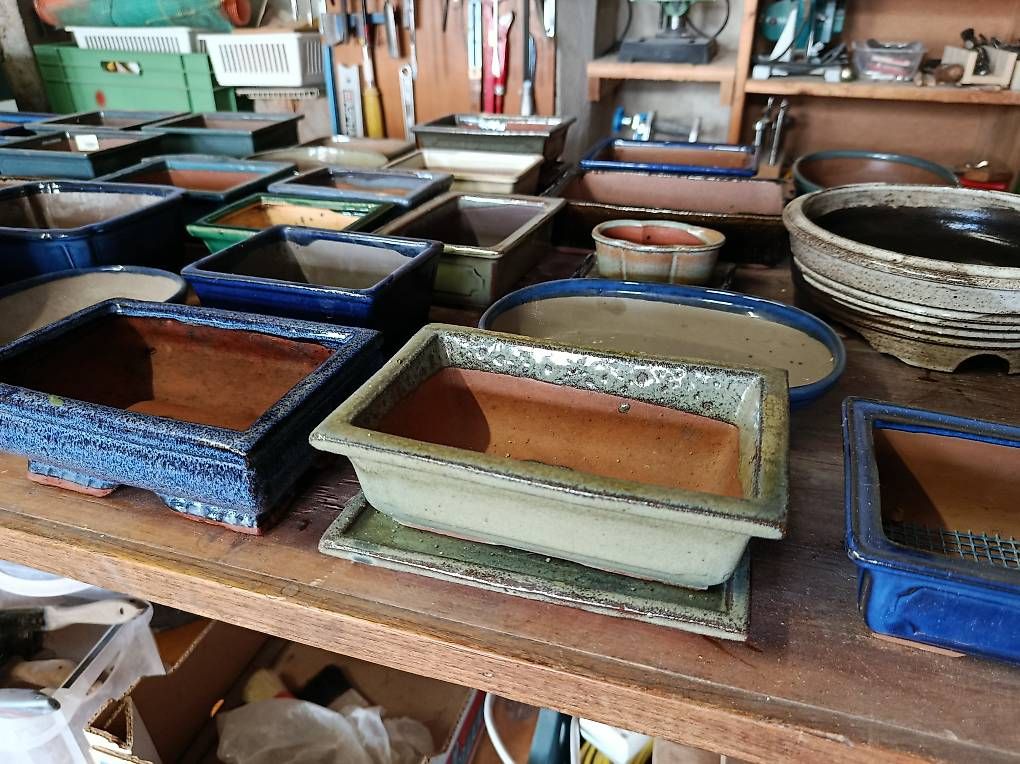 Vasi per fiori: Grosses Bonsai-Topf-Sortiment. 35 Stück – Usato da Frutigen venduto da josephsohn1 4