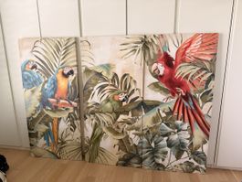3er Set Papageien-Bilder tropische Wanddeko 190x270