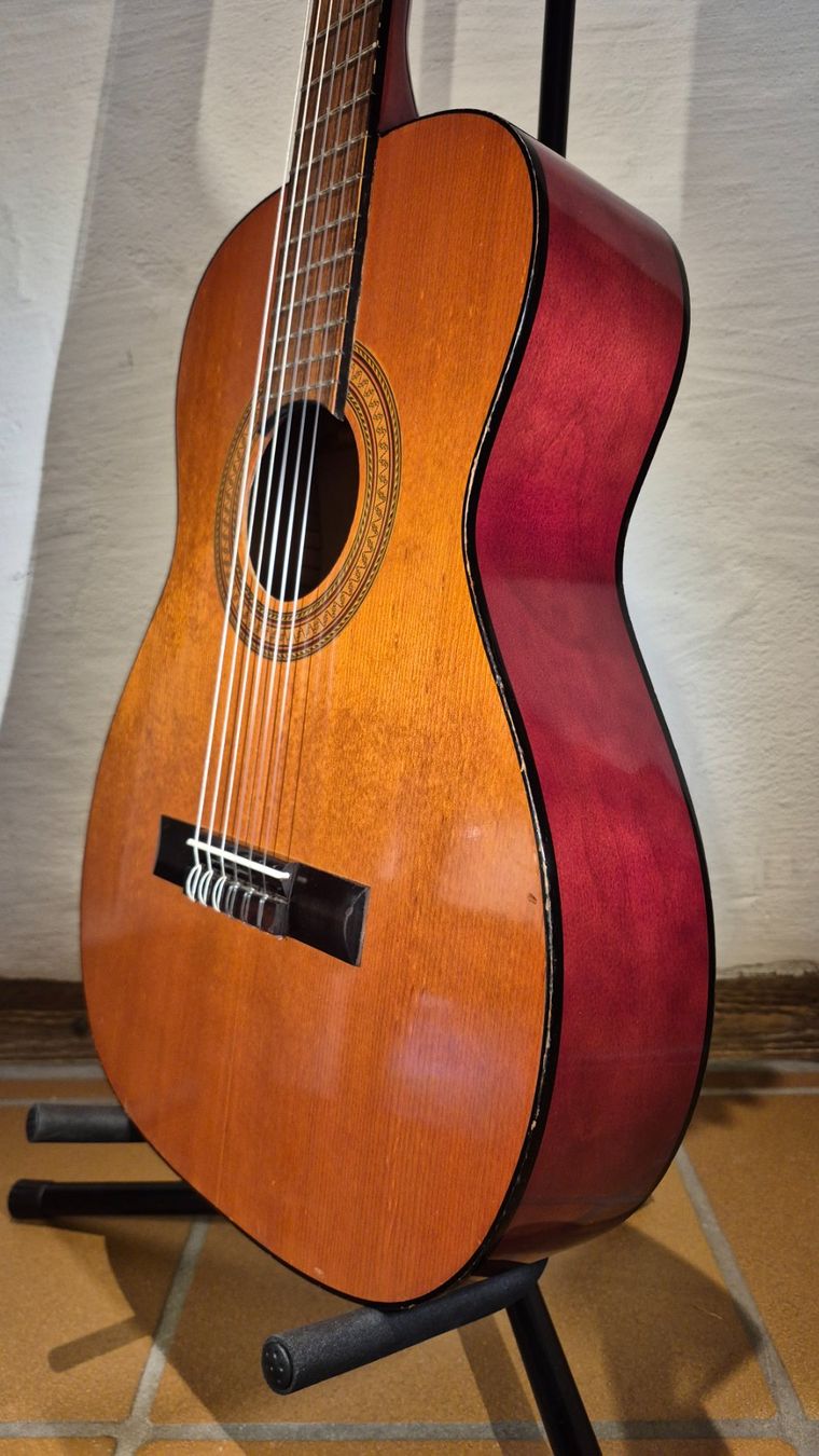 Musikinstrumente: Kinder Gitarre Morris S616N – Gebraucht aus Winterthur von NorrSydGuitars 6