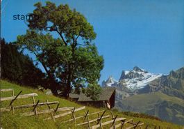 1971 AK Paysage alpestre près de Champéry -Les Dents du Midi