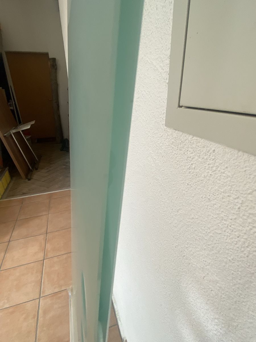 Türen: Glastür satiniert 194 x 75 cm – Neu (gemäss Beschreibung) aus Wangen an der Aare von Thedog 2