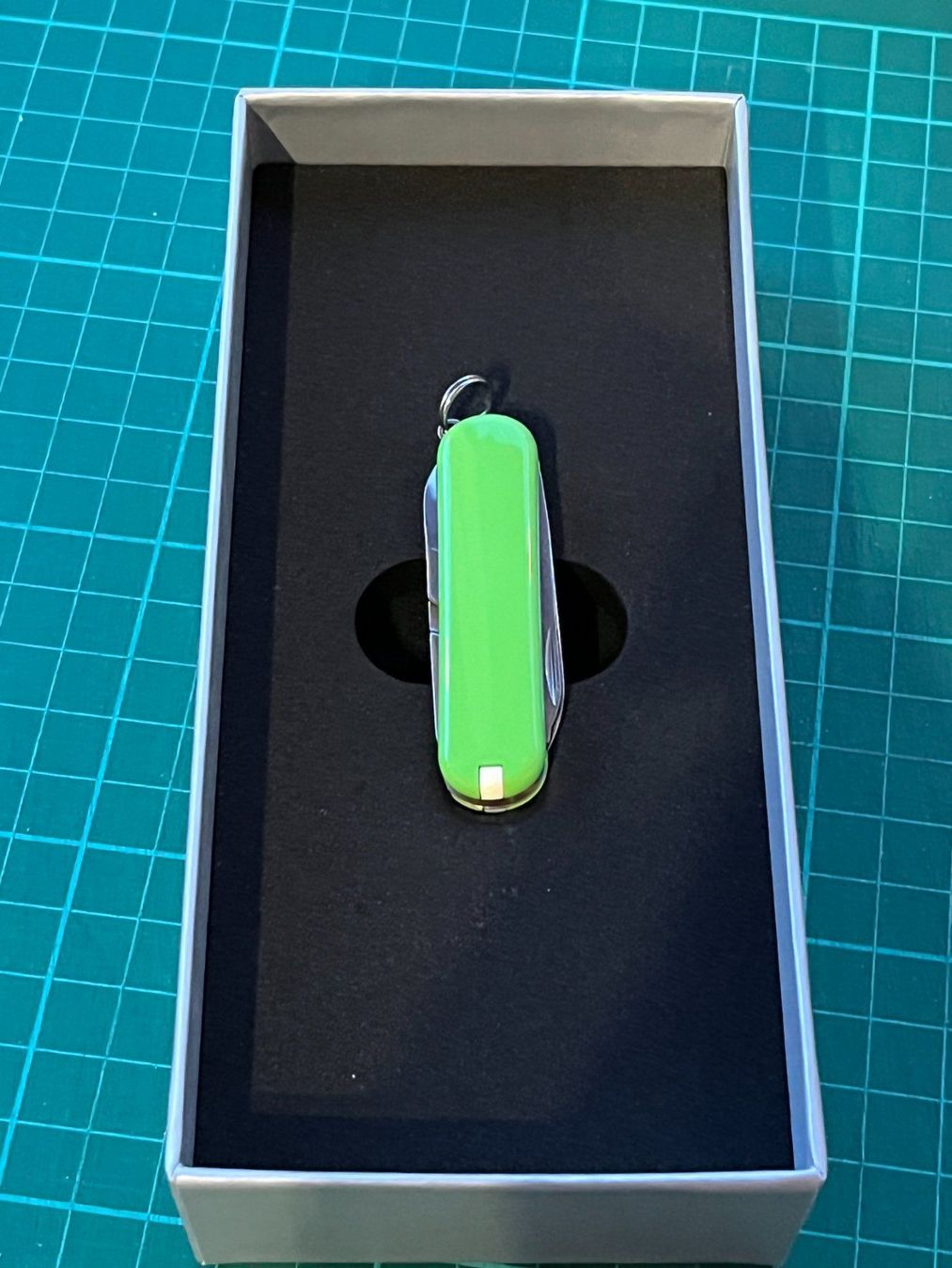 Victorinox Taschenmesser: Classic Kingfisher Eisvogel limited edition, Victorinox – Neu und originalverpackt aus Herisau von Skalay 2