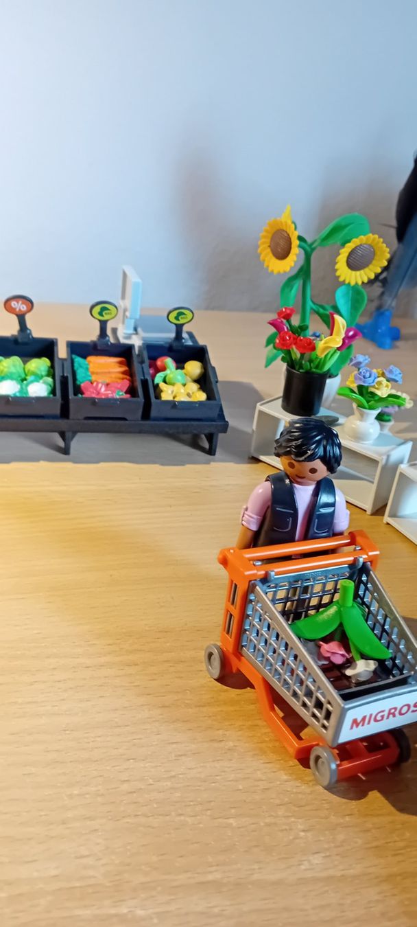 Playmobil Giocattoli: Migros Playmobil Set – Usato da Winterthur venduto da Meshkl 3