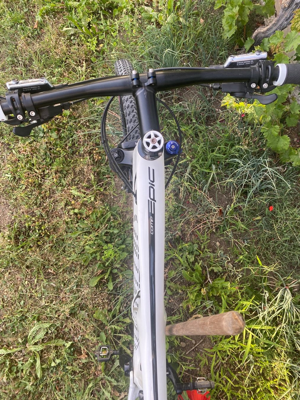 Specialized Velos: Specialized 2014 Epic Comp Carbon 29 – Gebraucht aus Bern von  2