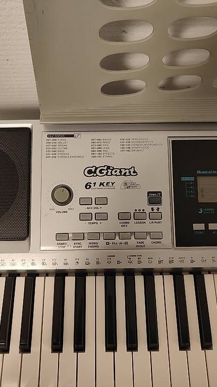 Strumenti musicali: Keyboard (optional mit Ständer) – Usato da Boswil venduto da carfur 1