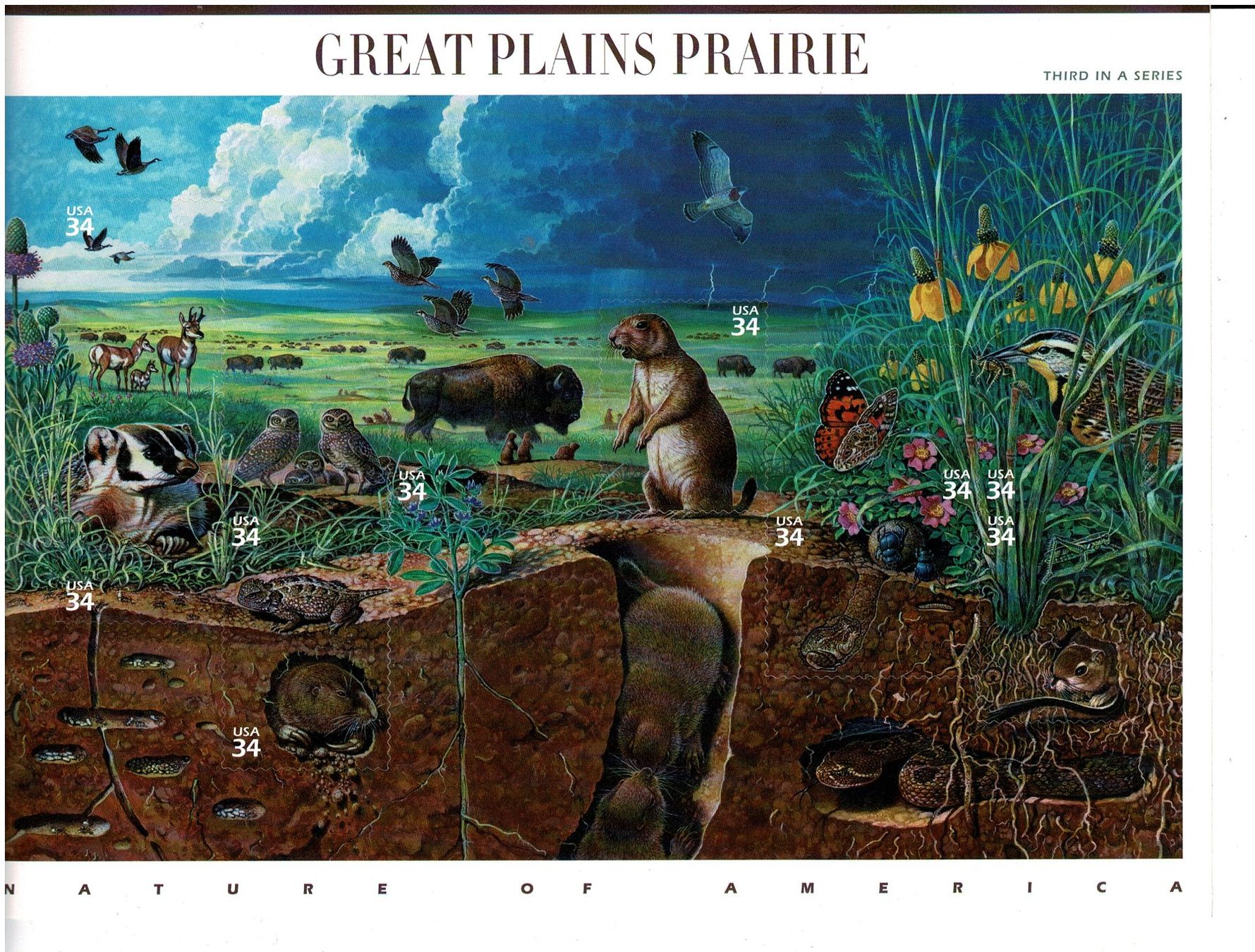 Tutti i francobolli: Great Plaines Prairie 1 KB selbstklebend neu – Nuovo (secondo la descrizione) da Lausanne venduto da Whorvath