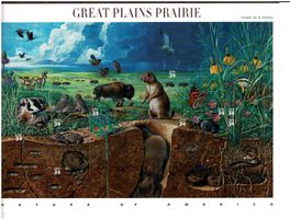 Great Plaines Prairie 1 KB selbstklebend neu