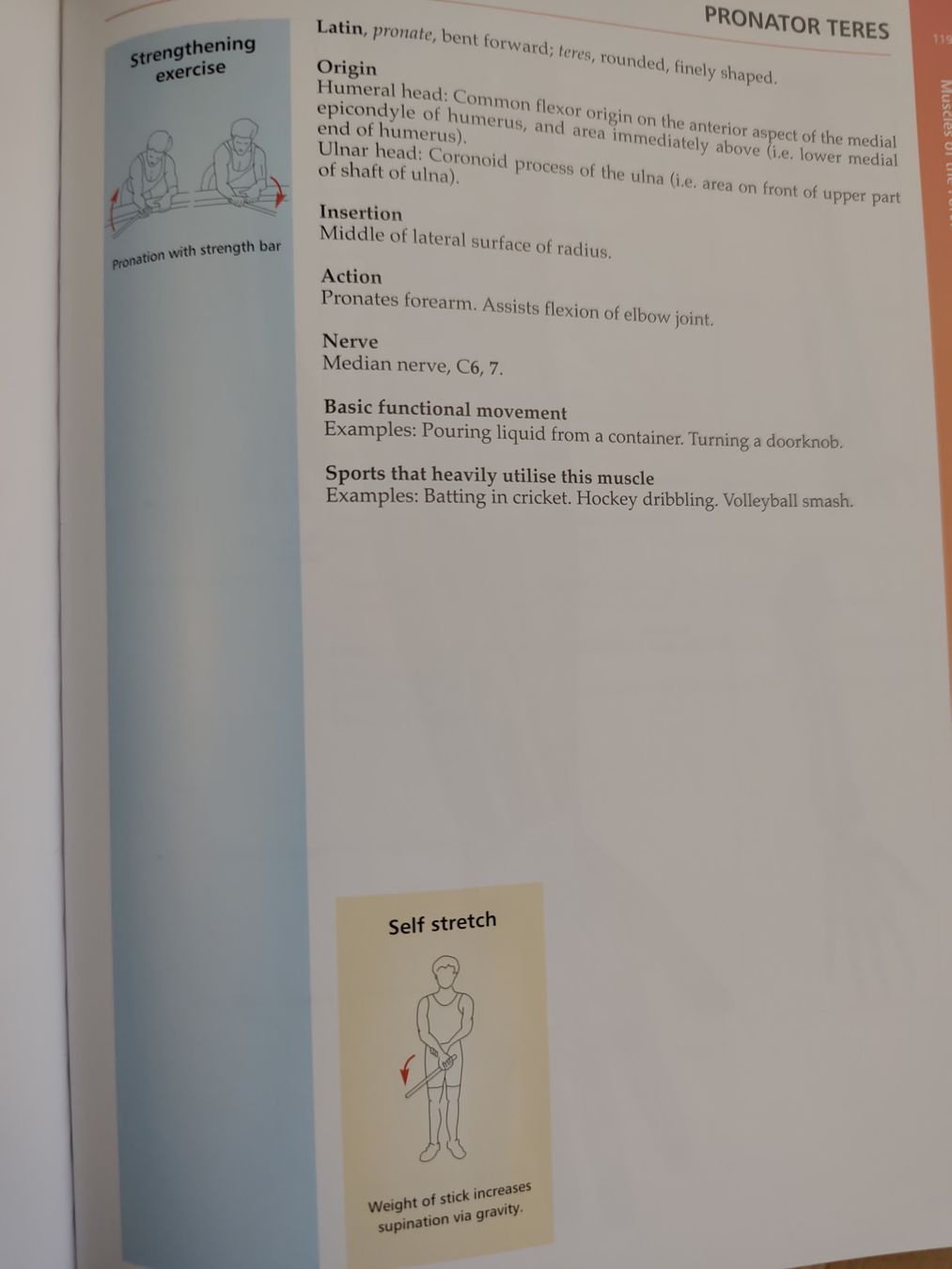 Bücher: Buch: " The concise book of Muscles" – Gebraucht aus Adliswil von Rlila 4