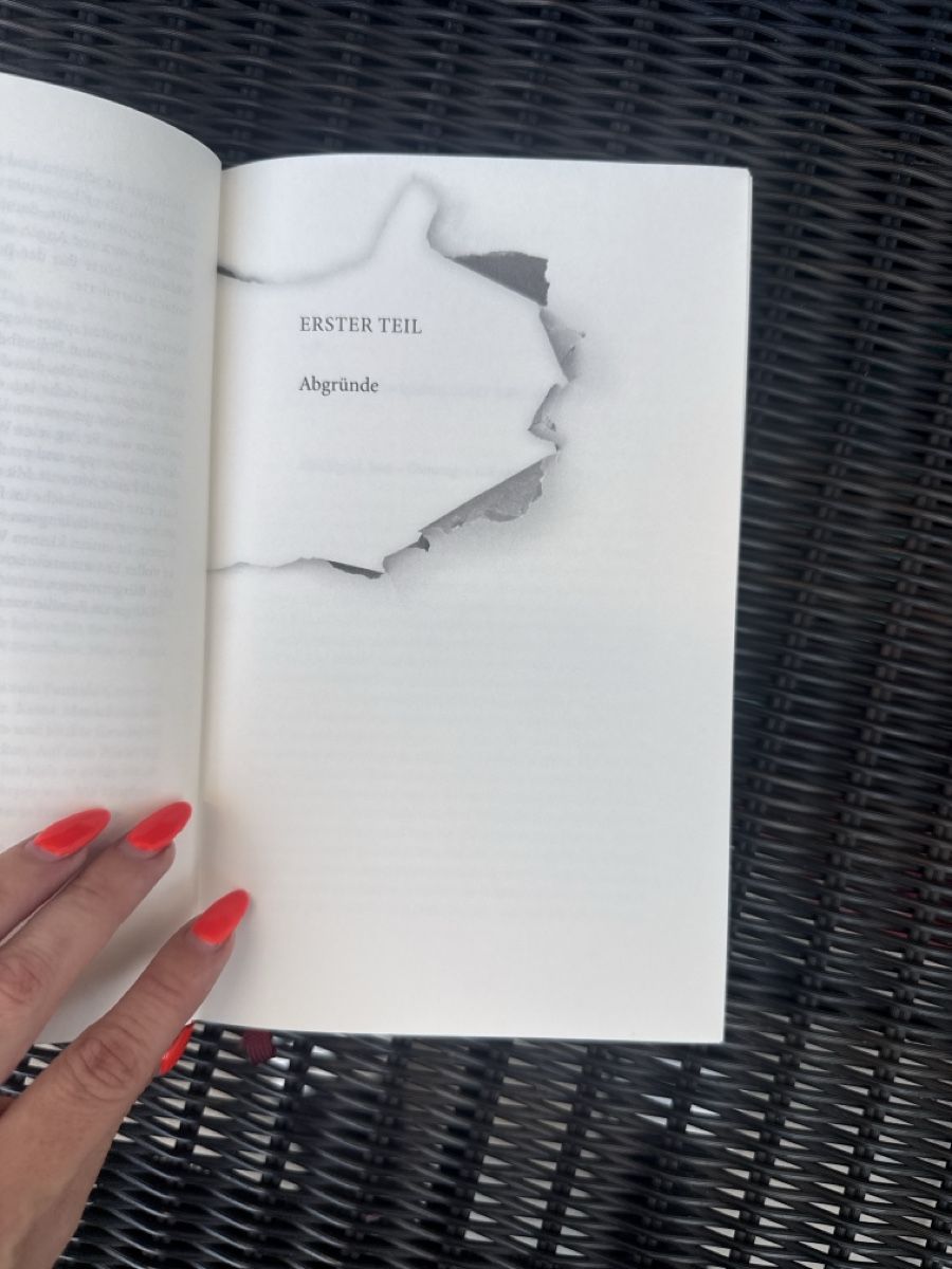Libri: Joël Dicker Das Verschwinden der Stephanie Mailer Roman – Usato da Zürich venduto da Krikri21 6