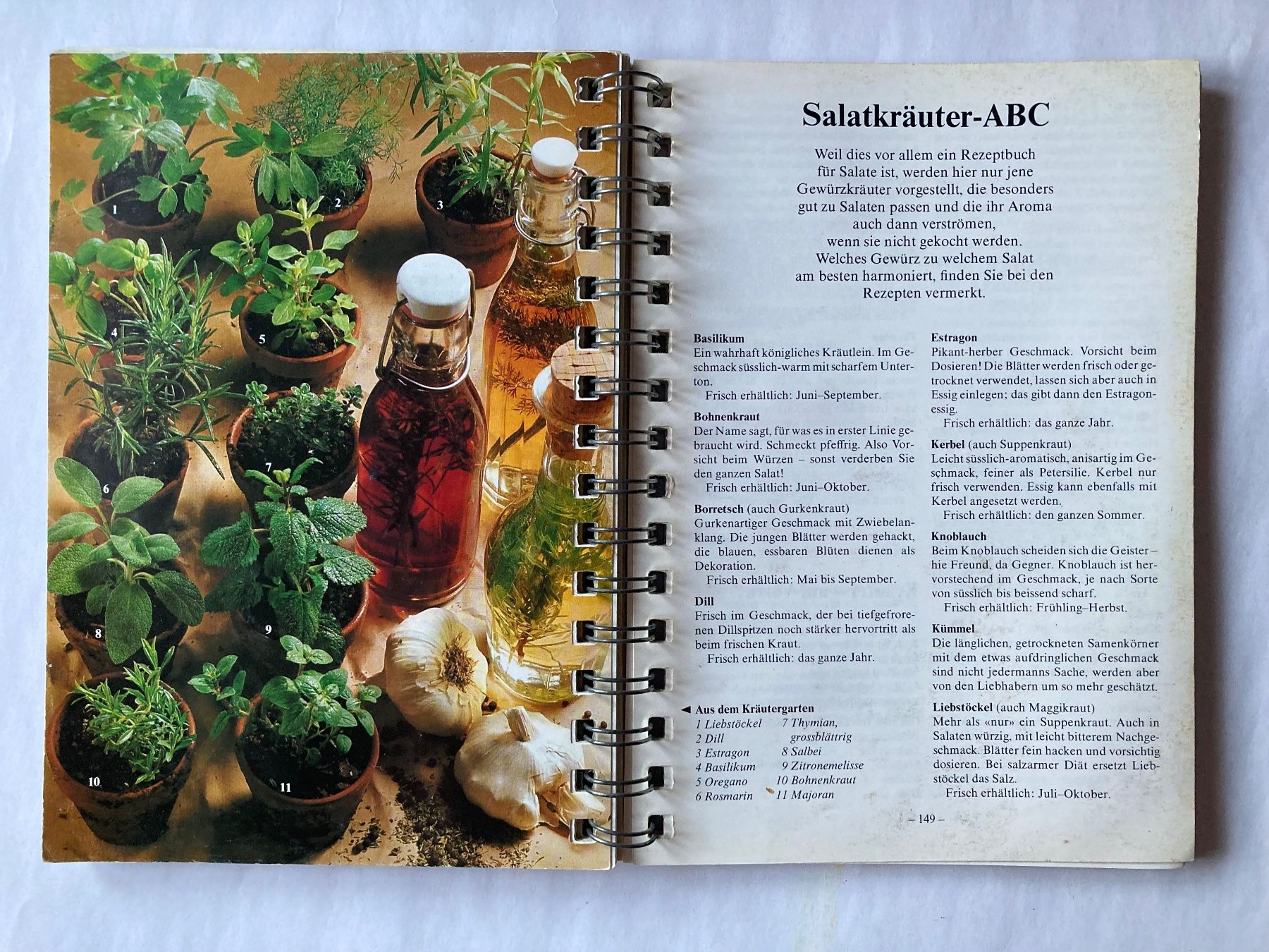 Livres: Betty Bossi: Salat Küche – D'occasion à Bubendorf par Alpenheidi 6