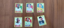 6 Panini Sticker 