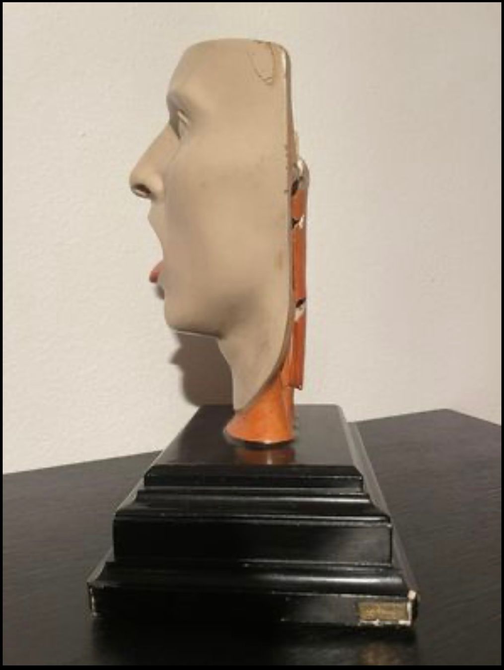 Statuette: Anatomisches Modell Kopf – Usato da Schaffhausen venduto da nor_jfc5 2