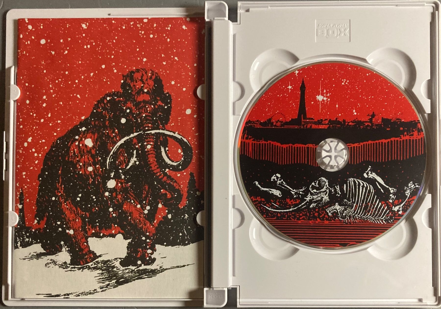 Tutti i DVDs: THE WHITE STRIPES - UNDER BLACKPOOL LIGHTS – Usato da Poliez-Pittet venduto da Newtown-Records 3