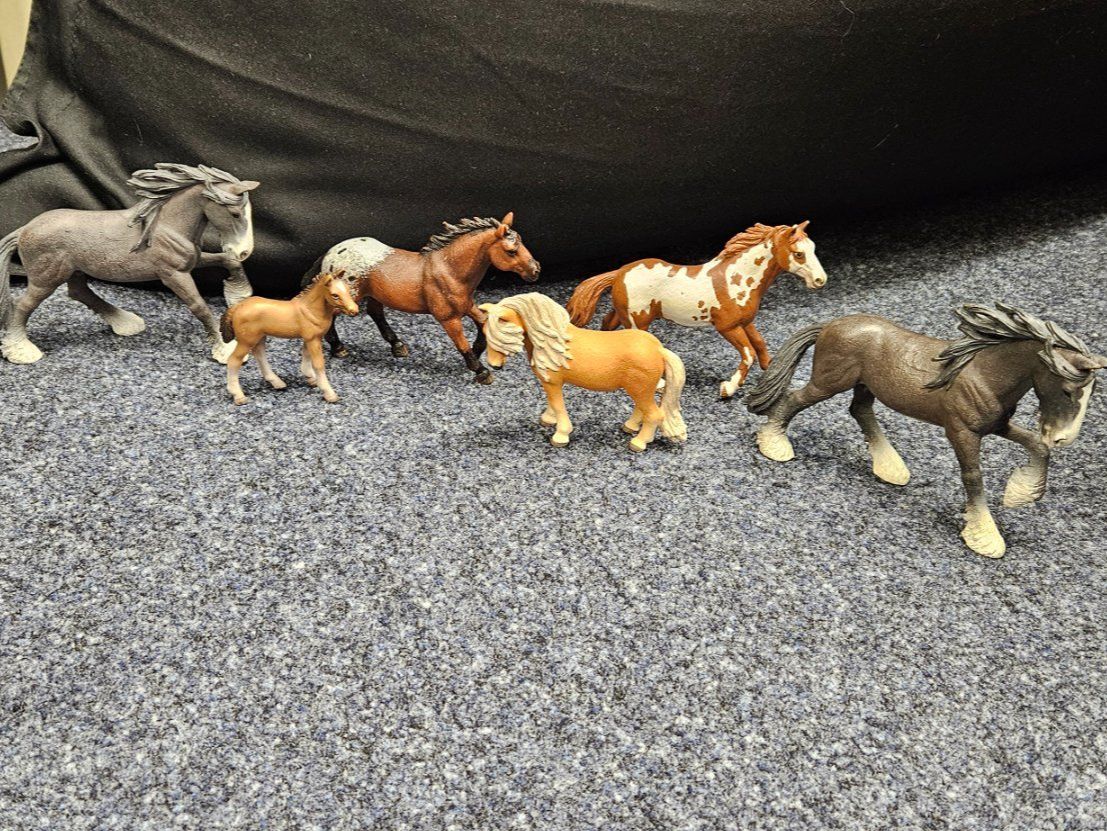 Schleich Giocattoli: SCHLEICH Pferde- /Fohlen Set 5 – Nuovo e nell'imballaggio originale da Balgach venduto da silvia2030