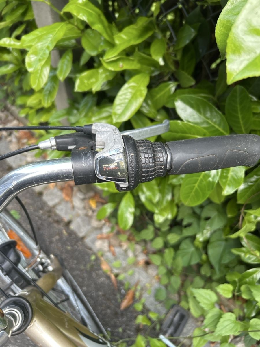 Biciclette: Men bike Bottecchia, used condition. – Usato da Arlesheim venduto da gio_sg79 2