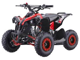 Mini Quad RENEGADE - Rot