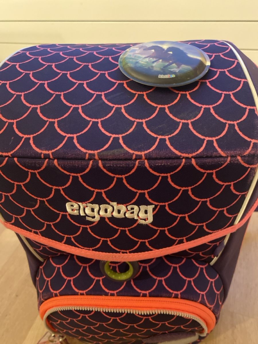 Ergobag Borse & Zaini: Ergobag Schulrucksack: Das perfekte Geschenk für Schulkinder – Usato da Wald ZH venduto da Seller_8 3