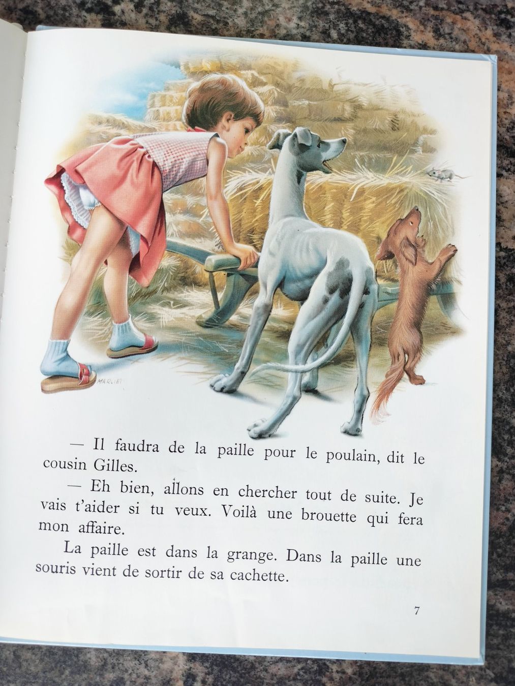 Libri: Martine monte à cheval – Usato da Cortaillod venduto da rozinna 3