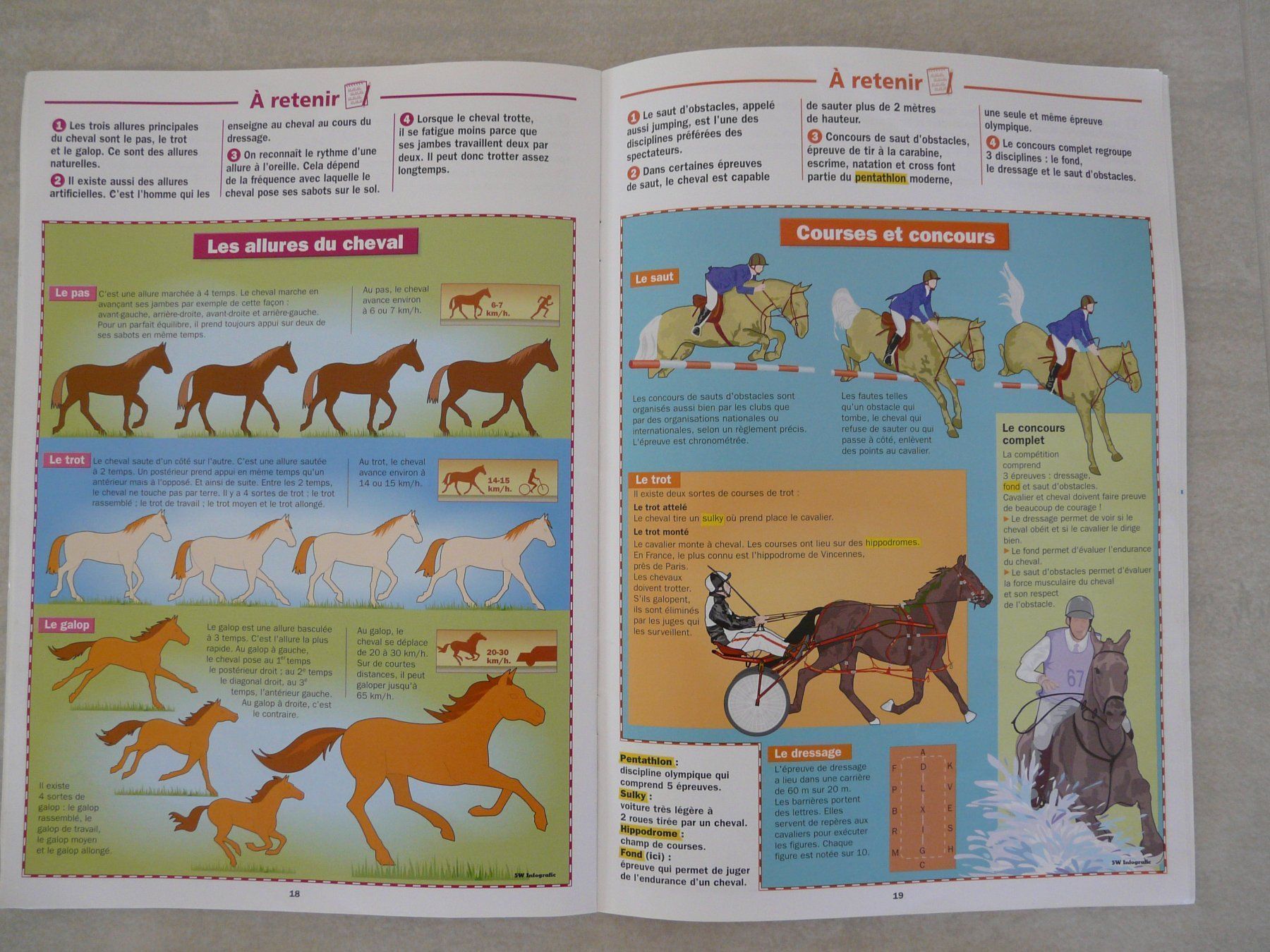 Libri: Les chevaux Docs des Incollables – Usato da ERLINSBACH venduto da doudouce 5