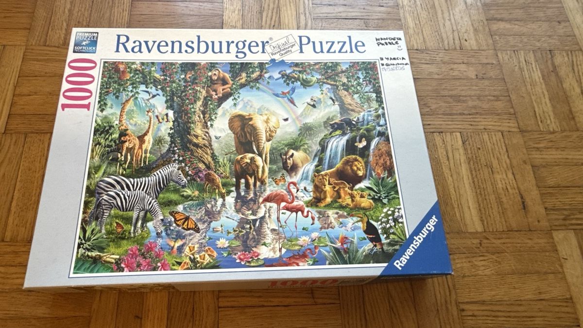 Ravensburger Puzzle: Ravensburger Puzzle 1000 Teile – Usato da Zürich venduto da Gabiii