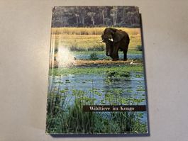 Wildtiere im Kongo, Silya Verlag, Top Zustand, Rarität