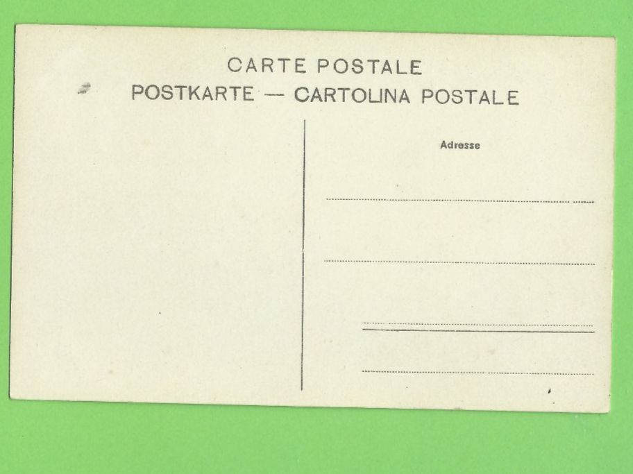 Cartoline postali: Schloss Ortenstein mit Piz Beverin – Usato da Zürich venduto da t24_de 1
