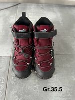 Kinder Schuhe Gr 35.5