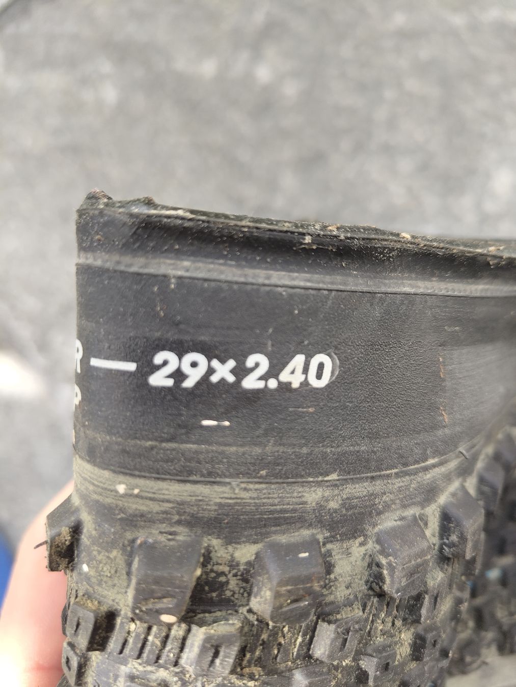 Pneus & Kompletträder: Schwalbe Rick Race 29x2.40 – Neu (gemäss Beschreibung) aus Appenzell Steinegg von Knechtle 1