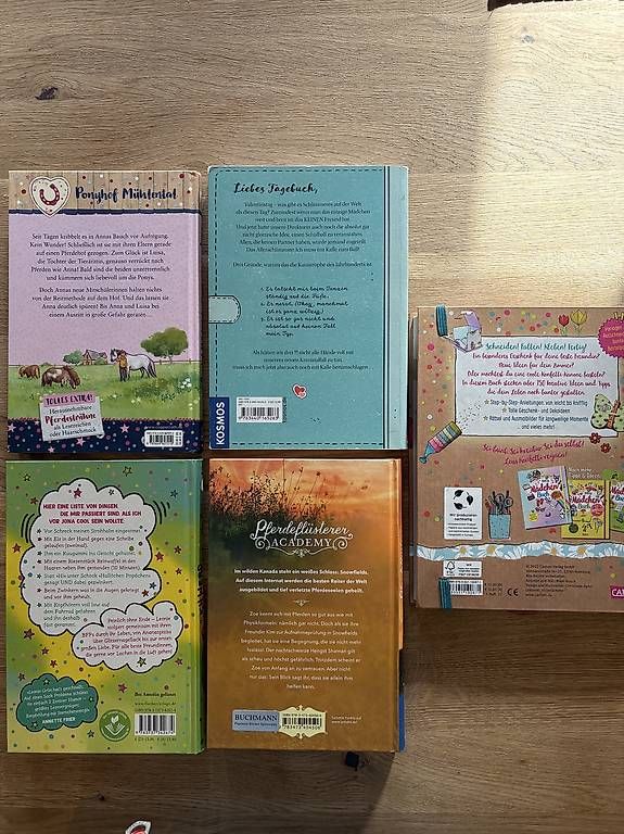 Libri: Mädchenbücher, ungelesen – Usato da Langnau im Emmental venduto da EvelineL 1