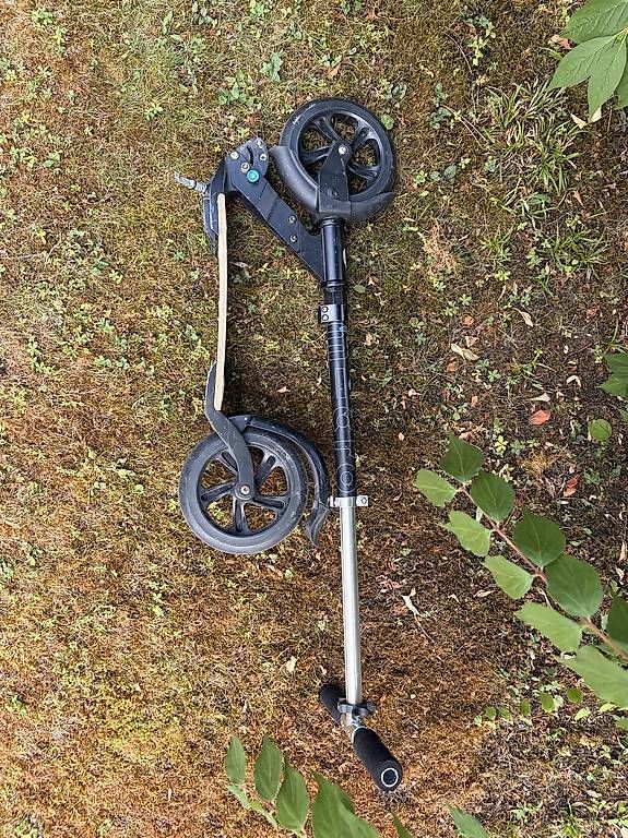 Kickboard: Trotti- Micro  – D'occasion à Zumikon par jacobsensvenerik911 2