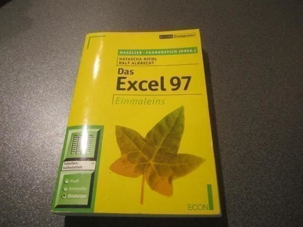 Bücher: Das Excel 97 – Gebraucht aus Zürich von Motzkuh