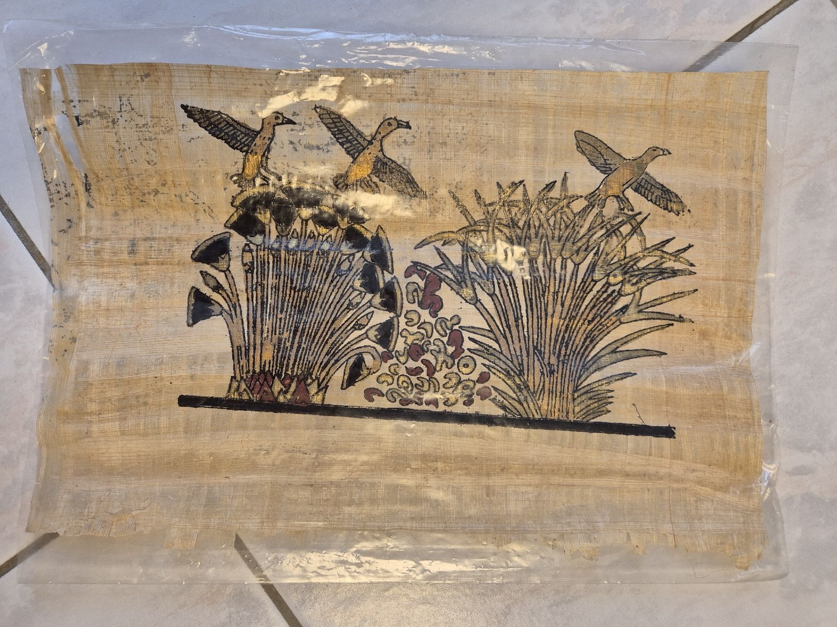 Poster & Bilder: Papyrus – Gebraucht aus Buchs ZH von iceblue27806 3