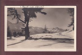 OBER-ALPINA bei St. Moritz - 1925