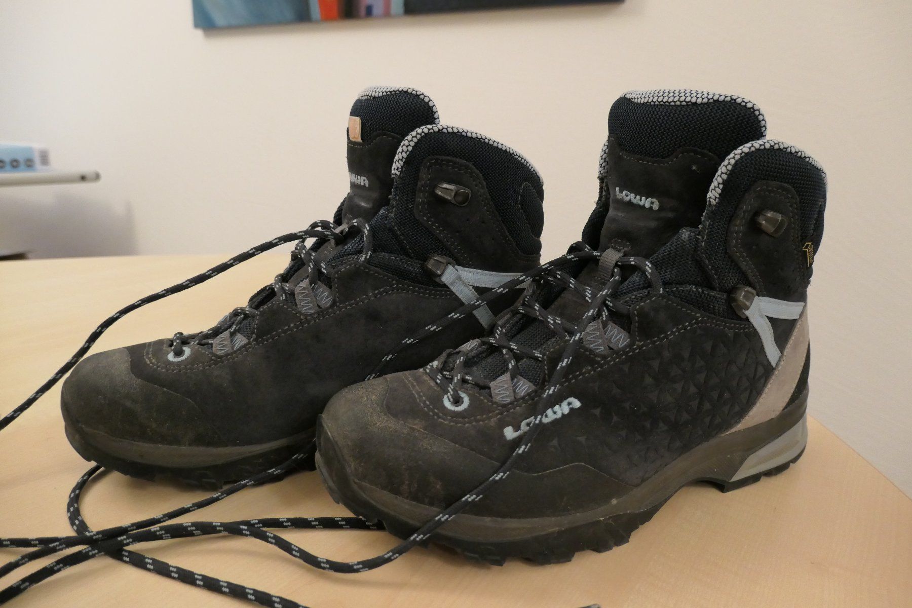Lowa Scarpe da donna: Wanderschuhe Lowa Sassa GTX Gr. 36.5 – Usato da Hunzenschwil venduto da Fionab72