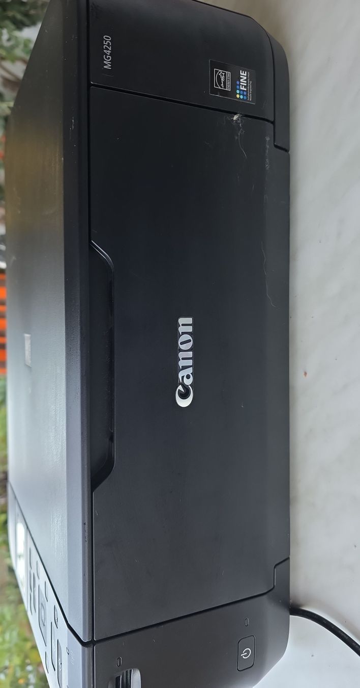 Canon Stampanti: Canon MG4250 Multifunction Printer - Black -  – Usato da Hinwil venduto da Ehretstock8