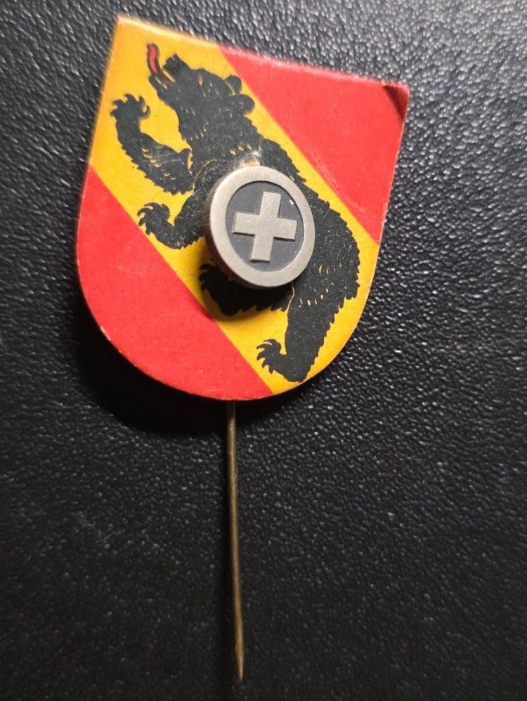 Swiss Placchette & Badge: Vintage Anstecknadel Bern Schweiz – Usato da Walterswil BE venduto da Lonitti