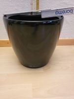 Lechuza Bewässerungssystem, schwarz glänzend