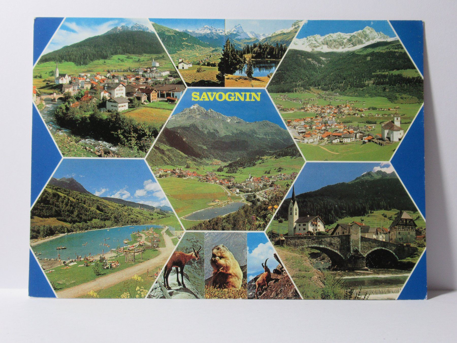 Cartoline postali: Savognin , Murmel 1995 – Usato da Grenchen venduto da Bluemchen1900 1