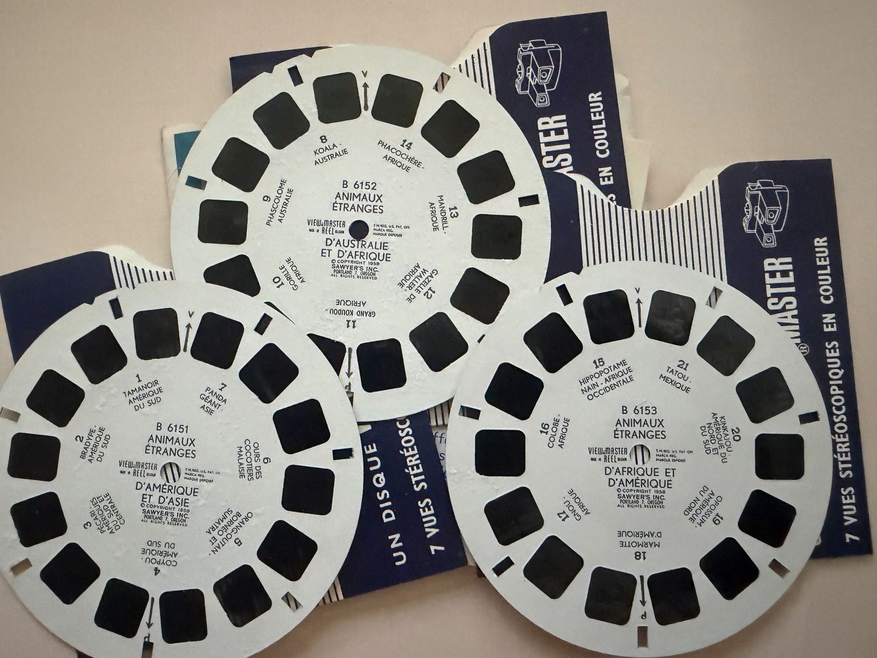 View-master Giocattoli: View-Master 3D: Nr. B 615 ANIMAUX ETRANGES de la Terre – Usato da Tegerfelden venduto da siebenmacky 3