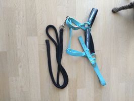 Licol avec longe fouganza bleu clair taille cheval