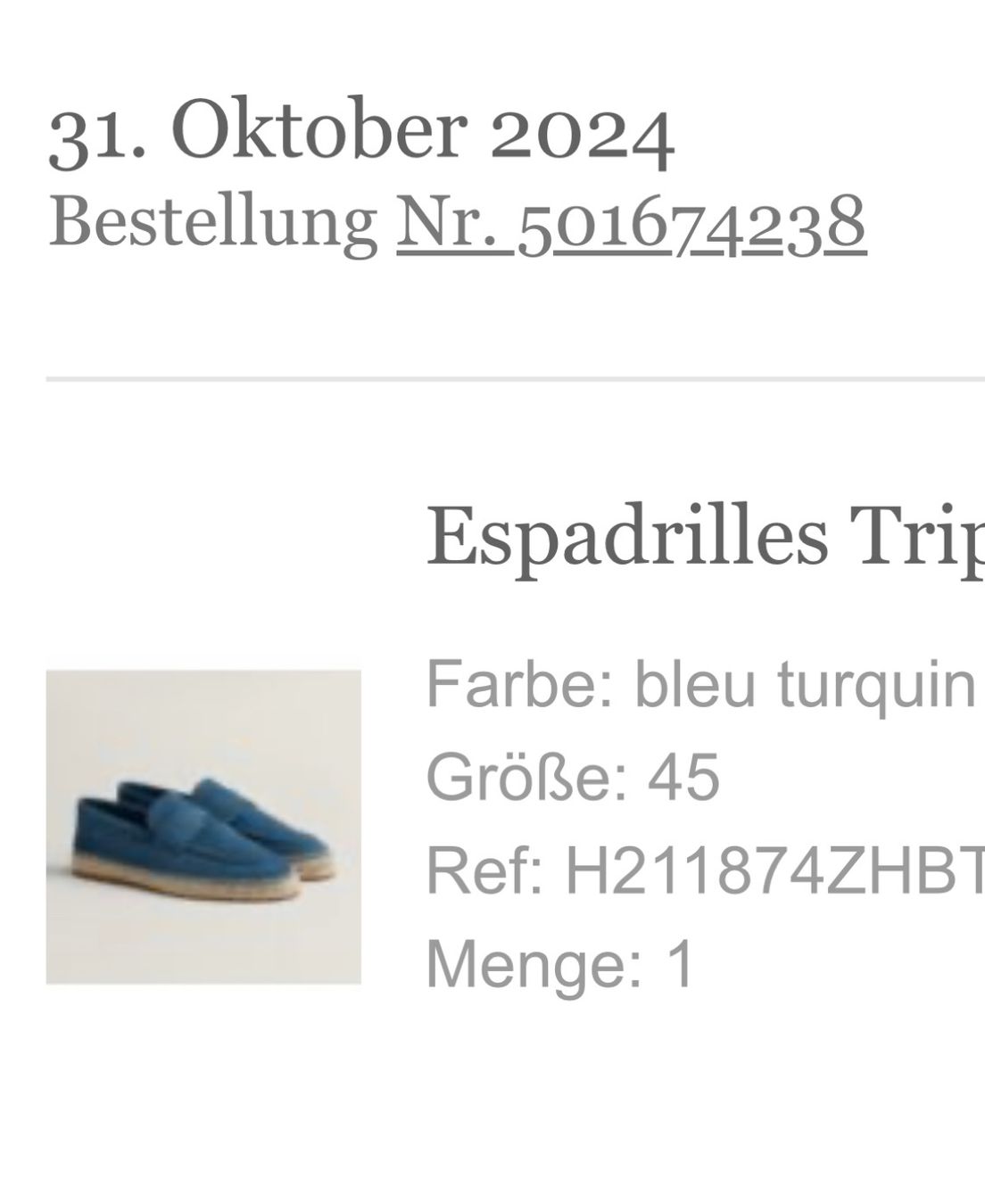 Hermès Scarpe da uomo: Hermes Trip Neuwertig 45 – Usato da Basel venduto da Leon_63s 4