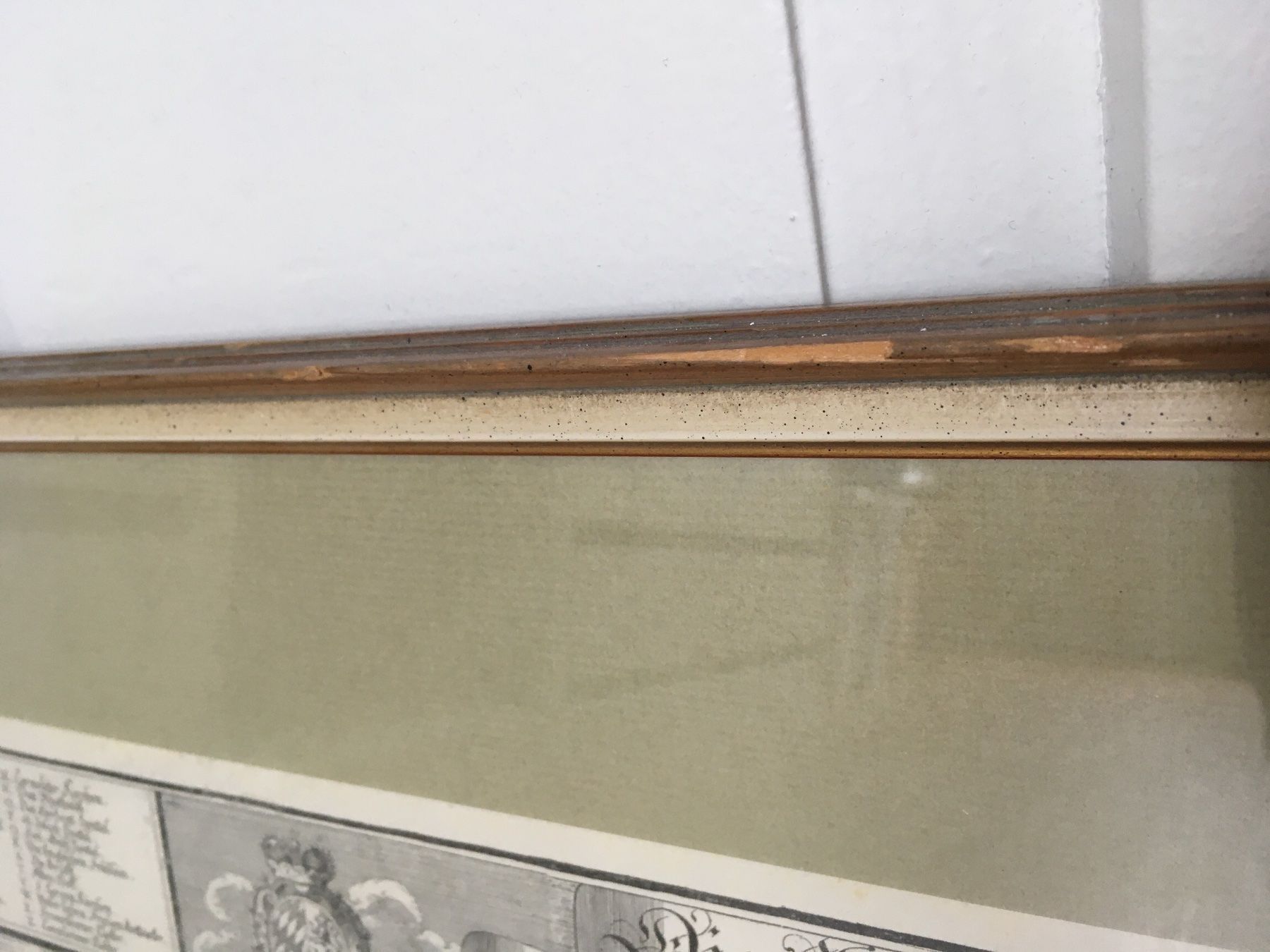 Foto & Immagini: Bild München antik – Usato da Unterwasser venduto da eka_9dvq 4