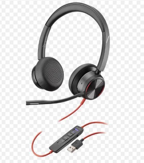 Plantronics Cuffie: Plantronics Headset BW8225-M (USB-A) – Usato da Hinwil venduto da Islaw