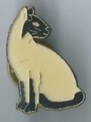 Katze PIN