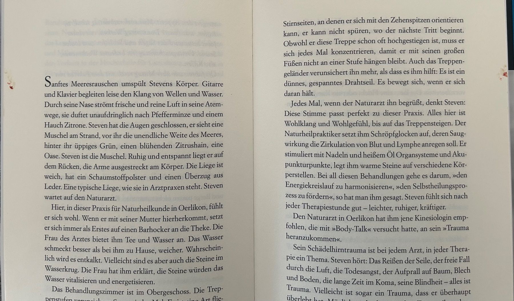 Libri: Der Blindgänger / Nils Walter / Steven Mack – Usato da Spiez venduto da martin-7973 3