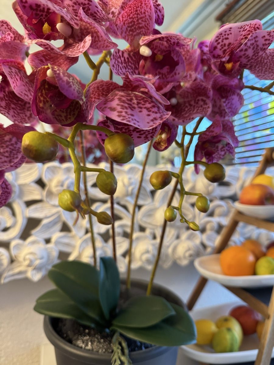 Tutte le decorazioni: Künstliche Orchideen lilac New – Nuovo (secondo la descrizione) da Zürich venduto da Privat4444 1