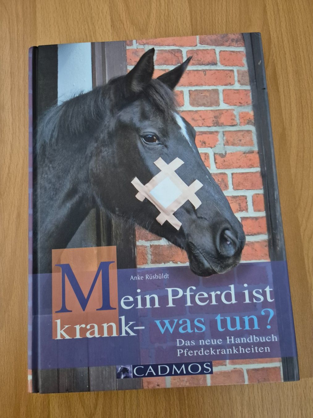 Briglie & Cavezze: Pferdefachbuch – Nuovo (secondo la descrizione) da Meggen venduto da Orrinka20