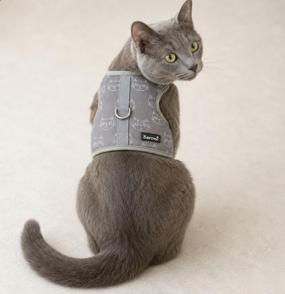 Guinzagli & Collari: Katzengeschirr Weste, stufenlos verstellbar – Nuovo (secondo la descrizione) da Felben-Wellhausen venduto da jasminbirchler