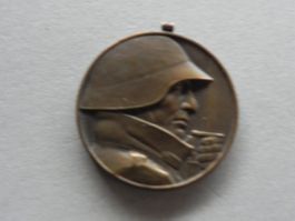 Medaille Schweiz Militär Armee Bat. de Füsiliers 7 Genève